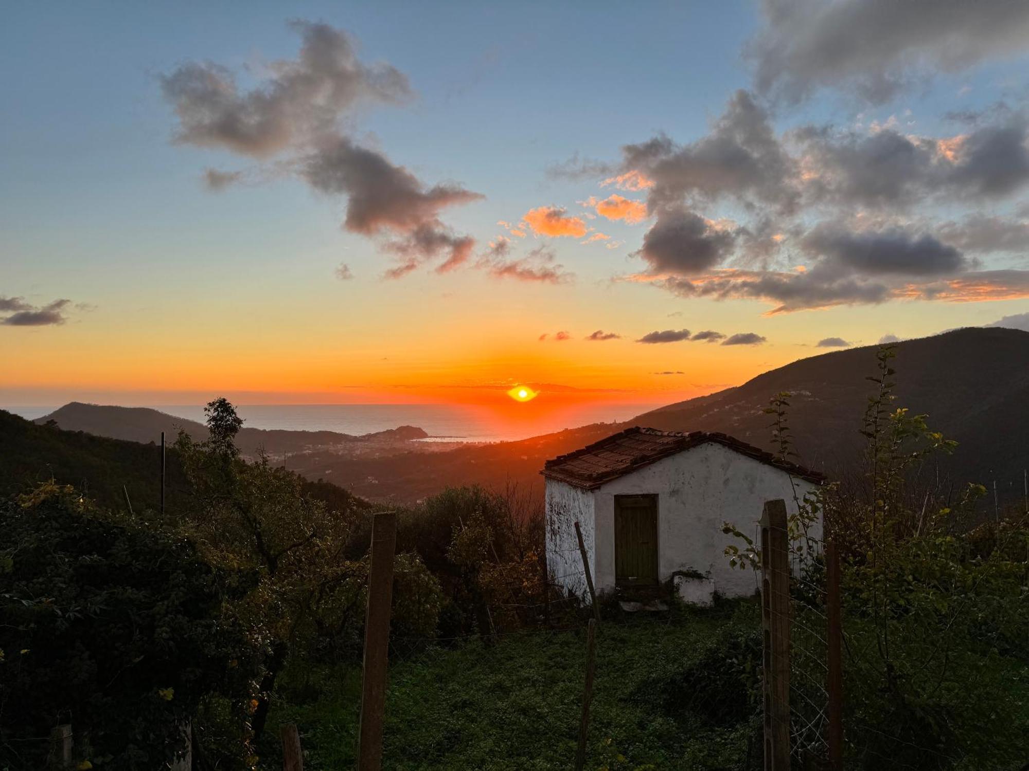La Collina Sul Mare - Casa Vacanze Σέστρι Λεβάντε Εξωτερικό φωτογραφία